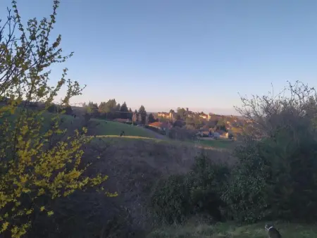 Gîte coquet avec piscine et jeux pour enfants à Saint-Haon-le-Châtel - Photo 22