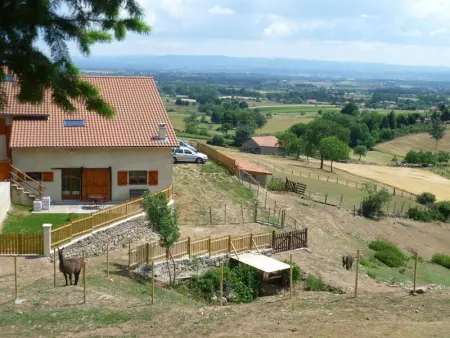 Gîte chaleureux avec spa et sauna - Animaux admis - Photo 13