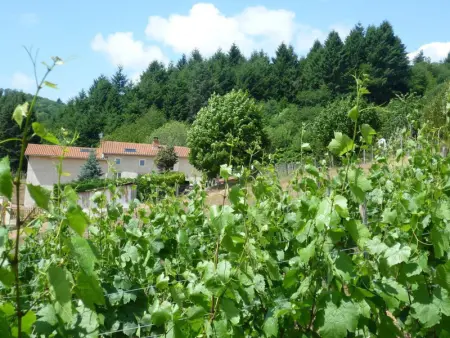 Gîte chaleureux avec spa et sauna - Animaux admis - Photo 16