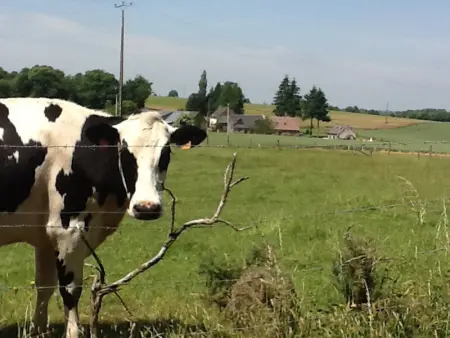 Maison indépendante en Normandie avec Spa gonflable, Wifi, et jardin clos - Photo 13