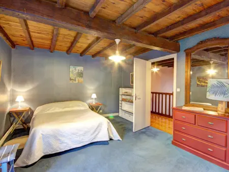 Gîte spacieux avec jardin et cheminée à Saint-Alban-les-Eaux - Photo 4