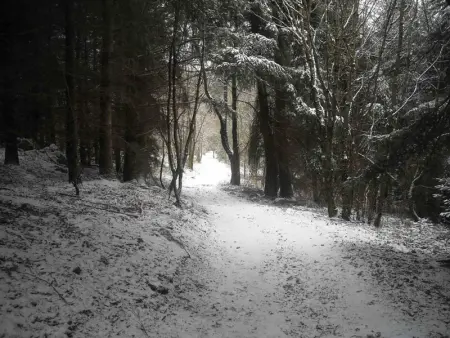 Gîte spacieux avec jardin et cheminée à Saint-Alban-les-Eaux - Photo 26