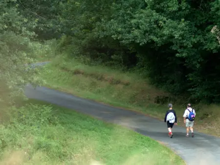 Maison spacieuse en campagne, animaux admis, parking privé - Photo 9