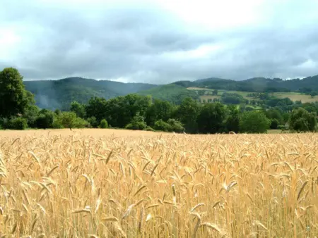 Maison spacieuse en campagne, animaux admis, parking privé - Photo 15