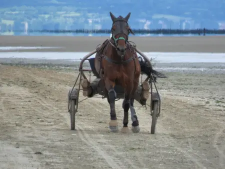Maison charmante à Sainte-Marie-du-Mont avec WiFi et parking - Photo 13