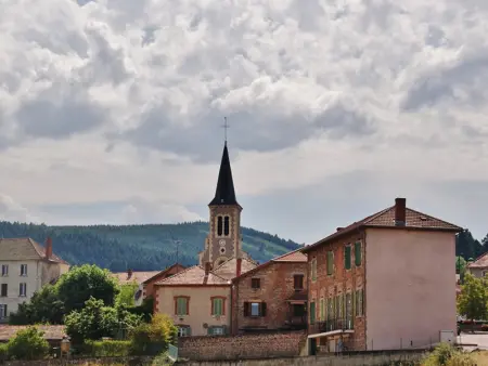 Gîte spacieux avec piscine, animaux admis à St Haon le Vieux - Photo 24