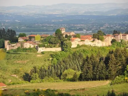 Gîte spacieux avec piscine, animaux admis à St Haon le Vieux - Photo 26