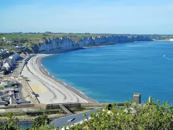 Gite à Fécamp,Maison de charme à Fécamp avec cour privée, proche du port et plages FR-1-441-606 N°833730