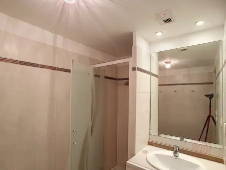 Appartement F2 avec terrasse, clim, parking privé, proche centre-ville et thermes, animaux acceptés - Photo 8