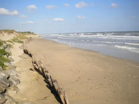 Gîte confortable près d'Utah Beach, animaux acceptés, parking & jardin - Photo 13
