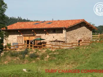 Gite à Saint Romain d'Urfé,Gîtes confortables pour 10 pers. avec jardin, terrasse et équipements modernes FR-1-496-185 N°833788