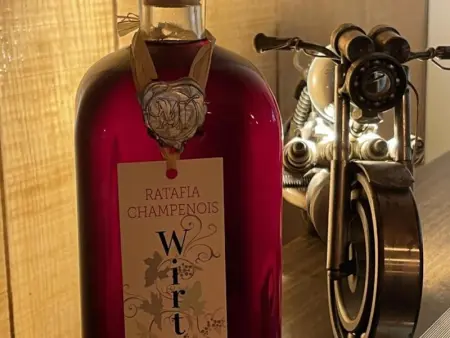 Charmant Gîte avec Jardin et Animaux Bienvenus, Gite 4 personnes à Villenauxe la Grande - Photo 11