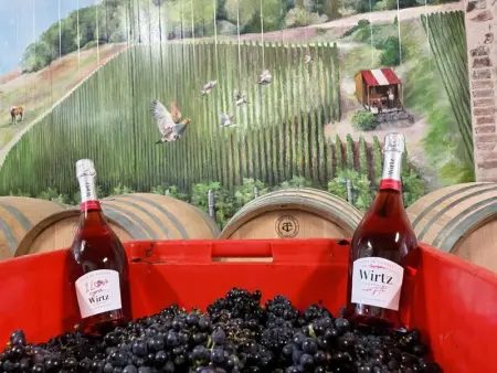 Charmant Gîte avec Jardin et Animaux Bienvenus, Gite 4 personnes à Villenauxe la Grande - Photo 12