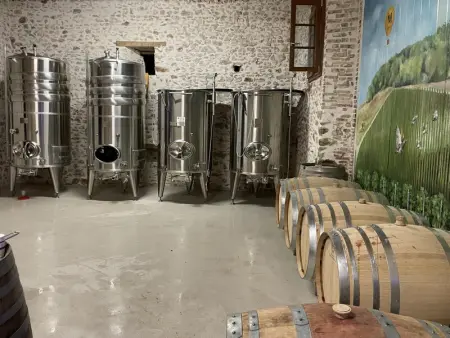 Charmant Gîte avec Jardin et Animaux Bienvenus, Gite 4 personnes à Villenauxe la Grande - Photo 14