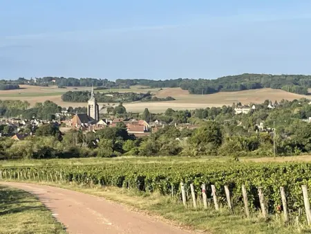 Charmant Gîte avec Jardin et Animaux Bienvenus, Gite 4 personnes à Villenauxe la Grande - Photo 15