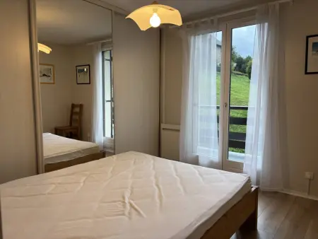 Appartement cosy, balcon sud, 2 chambres, parking gratuit à 10 min du centre et proche ski ! - Photo 7