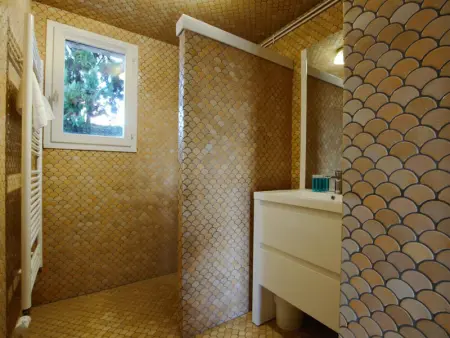 Maison de caractère avec piscine chauffée, espace détente, billard, proche de Provins et Nogent-sur-Seine - Photo 6