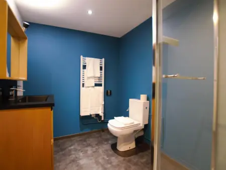 Maison de caractère avec piscine chauffée, espace détente, billard, proche de Provins et Nogent-sur-Seine - Photo 13