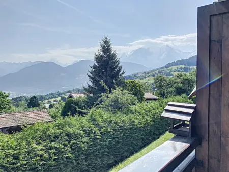 Studio confortable au centre de Combloux avec parking et accès ski bus - Photo 4