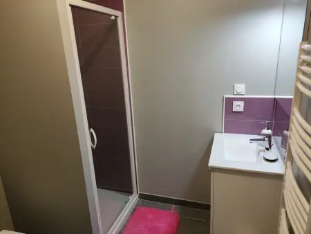 T2 de Standing avec Jardin, Terrasse et WI-FI au Centre de La Roche-Posay - Photo 10