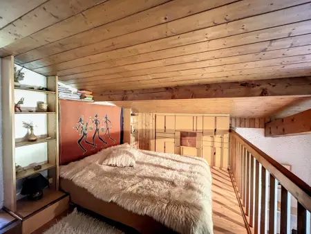 Duplex cosy au pied des pistes de Combloux, Appartement 5 personnes à Combloux - Photo 7