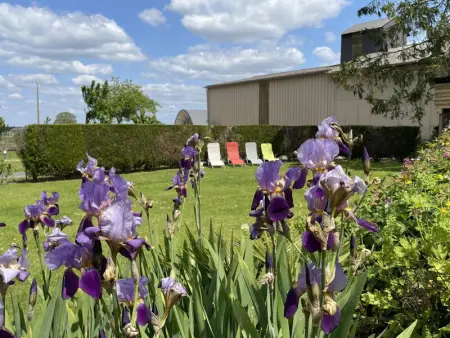 Gîte confort aux portes des châteaux, jardin, terrasse, WIFI, vélos, proche A85 et balades nature - Photo 27