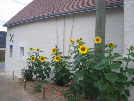 Gîte confort aux portes des châteaux, jardin, terrasse, WIFI, vélos, proche A85 et balades nature - Photo 34