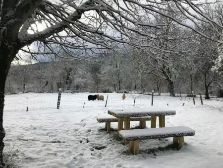 Studio Montagne avec Terrasse Privative, Wifi, Près de Sentiers de Randonnée, Animaux Acceptés - Photo 24