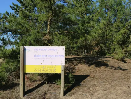 Maison familiale avec terrasse et proche plage à Saint-Brevin-les-Pins - Photo 5