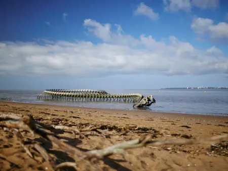 Maison familiale avec terrasse et proche plage à Saint-Brevin-les-Pins - Photo 8