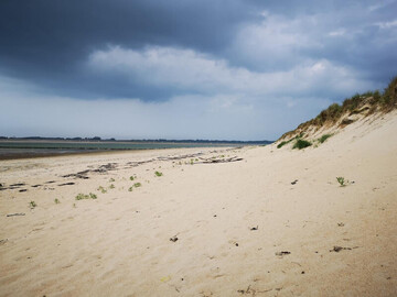 Jolie maison à Montchaton, jardin clos, animaux acceptés - Photo 7