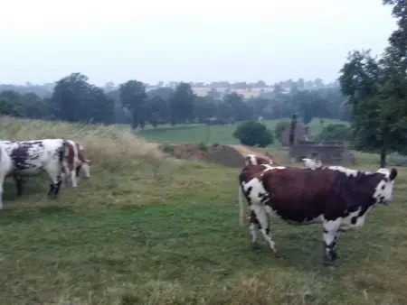 Maison ancienne avec insert et animaux autorisés - Photo 17