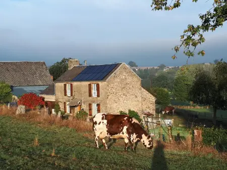 Maison ancienne avec insert et animaux autorisés - Photo 19
