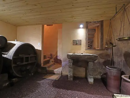 Maison authentique en Normandie, animaux acceptés - Photo 7