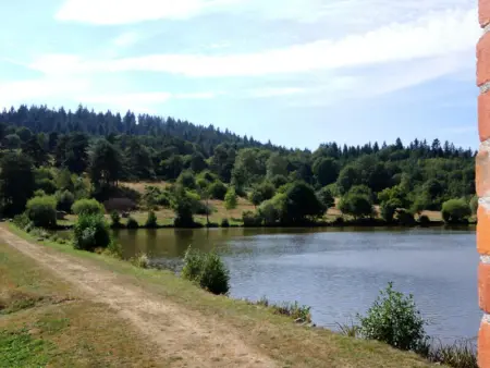 Confortable gîte pour 7 pers. avec cheminée et animaux admis - Photo 14