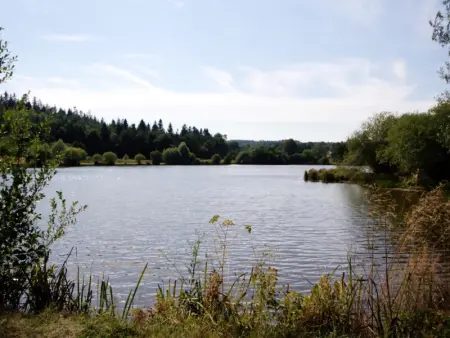 Confortable gîte pour 7 pers. avec cheminée et animaux admis - Photo 15