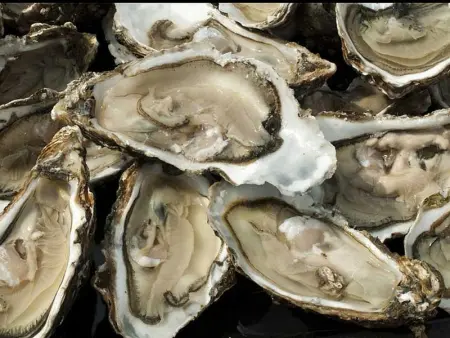 Charmant gîte au cœur de Barfleur, près du port, avec cour privée et animaux acceptés - Photo 16