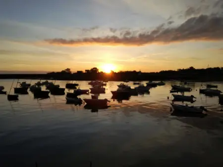 Charmant gîte au cœur de Barfleur, près du port, avec cour privée et animaux acceptés - Photo 17