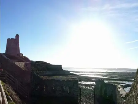 Charmant gîte au cœur de Barfleur, près du port, avec cour privée et animaux acceptés - Photo 18