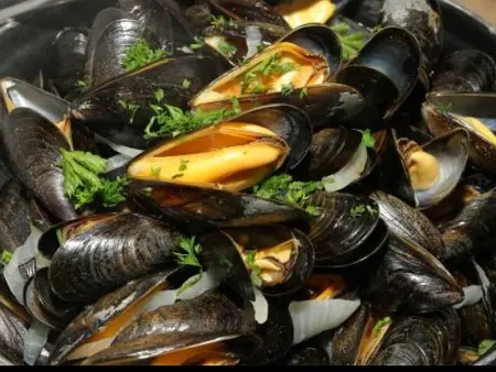 Charmant gîte au cœur de Barfleur, près du port, avec cour privée et animaux acceptés - Photo 20