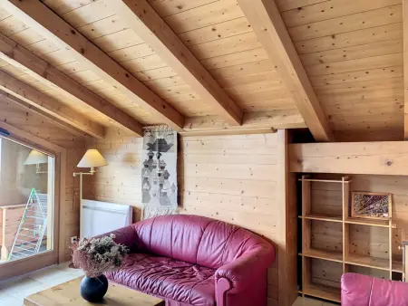 Duplex cosy à deux pas des pistes avec parking à Combloux - Photo 6