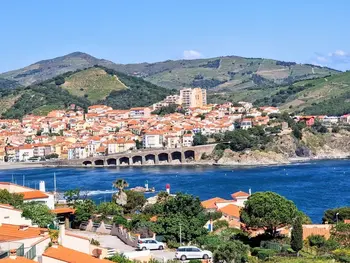 Appartement à Banyuls sur Mer,BANYULS-SUR-MER, T2 avec WIFI et parking FR-1-309-30 N°887563