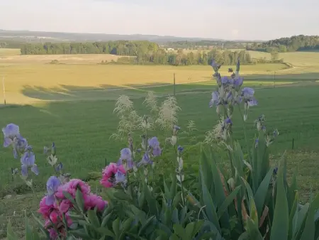 Chalet cosy avec jardin, parking et recharge VE aux portes des Vosges - Photo 17