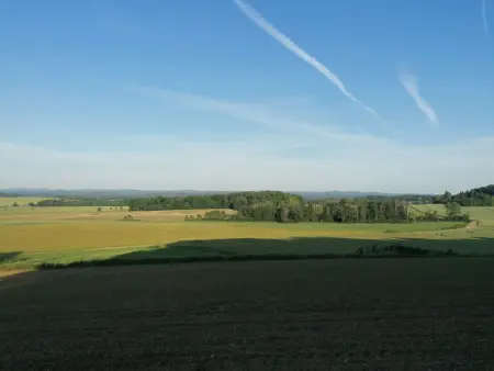 Chalet cosy avec jardin, parking et recharge VE aux portes des Vosges - Photo 18
