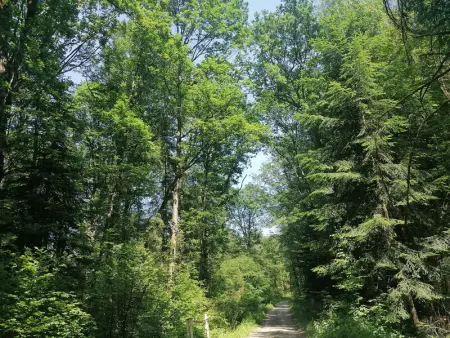 Chalet cosy avec jardin, parking et recharge VE aux portes des Vosges - Photo 20