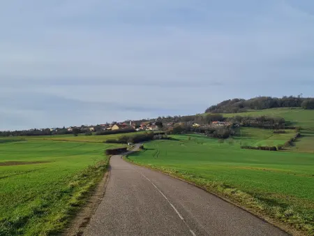 Voici une suggestion de titre :

Gîte charmant près de Nancy avec climatisation, WiFi, barbecue et parking privé - Photo 20