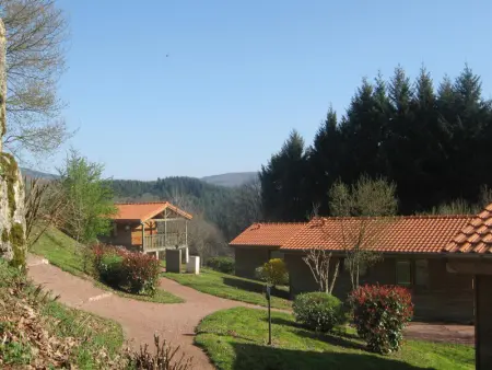 Chalet rustique avec terrasse, animaux acceptés - Photo 9
