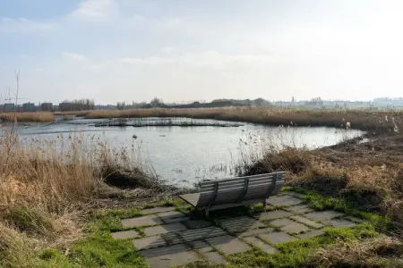 Poorthuys Kasteel Wissekerke, Appartement 4 personnes à Kruibeke - Photo 32