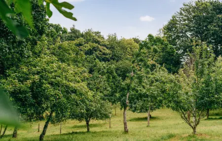 Location Maison 2 personnes à Concarneau - Photo 9