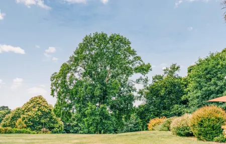 Location Maison 2 personnes à Concarneau - Photo 10